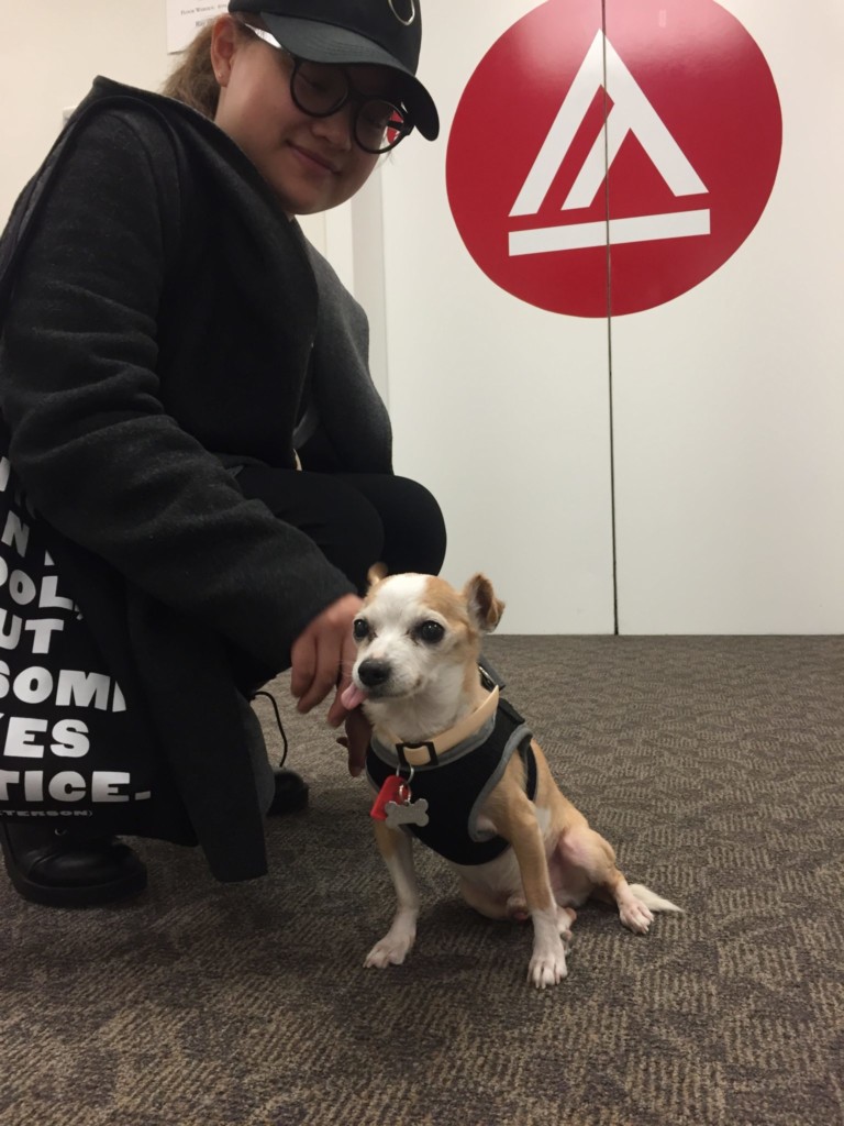 Senior Dog Nemo Gets Second Chance with Academy Student