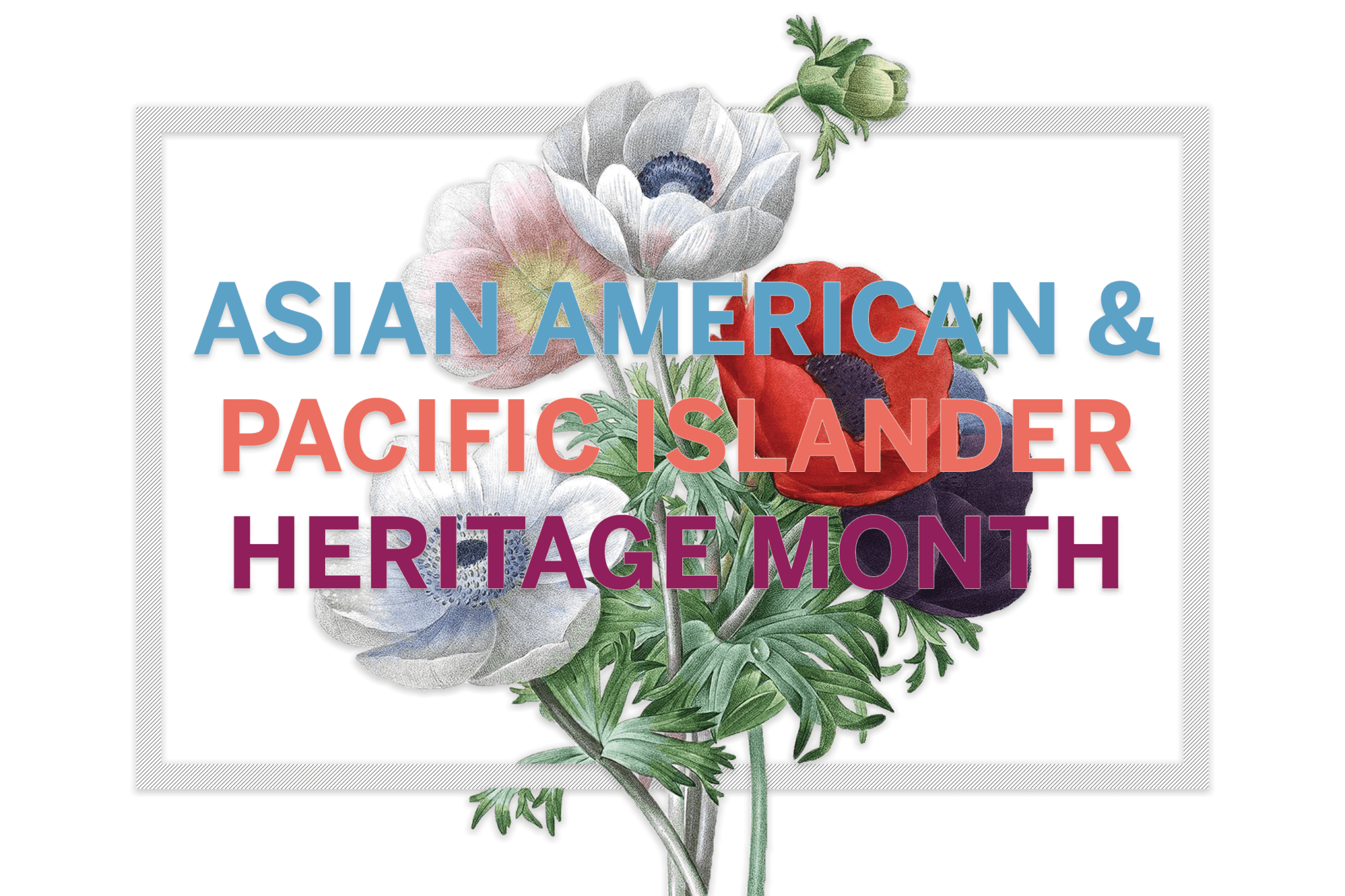 Thank You: Welcoming Asian American And Pacific Islander Month